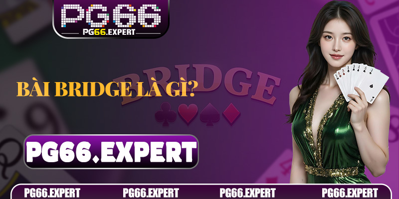 Bài Bridge là gì? Trò chơi trí tuệ dành cho người thích tư duy