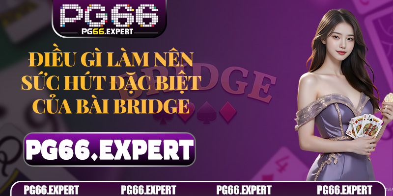 Điều gì làm nên sức hút đặc biệt của Bài Bridge